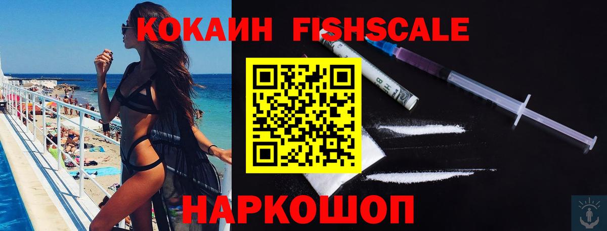 Cocaine Fish Scale  Вход с VPN  Cocaine 98%  Сальск 